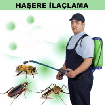 Saruhanlı Böcek İlaçlama